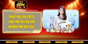 Thuật Ngữ Bài Catte